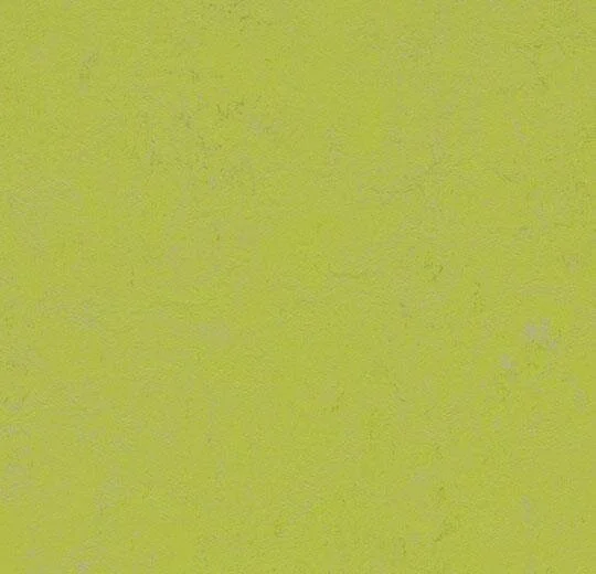 Marmoleum  Concrete - Green Glow