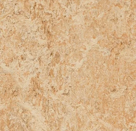 Marmoleum Real - Shell