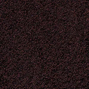 49548