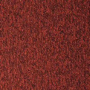 45048