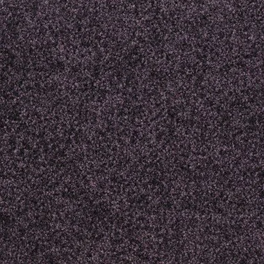 T371650