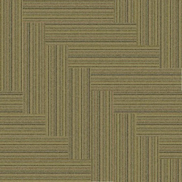 8110007 Glen Warp