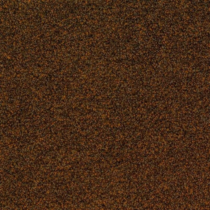 2051