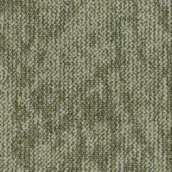 7954