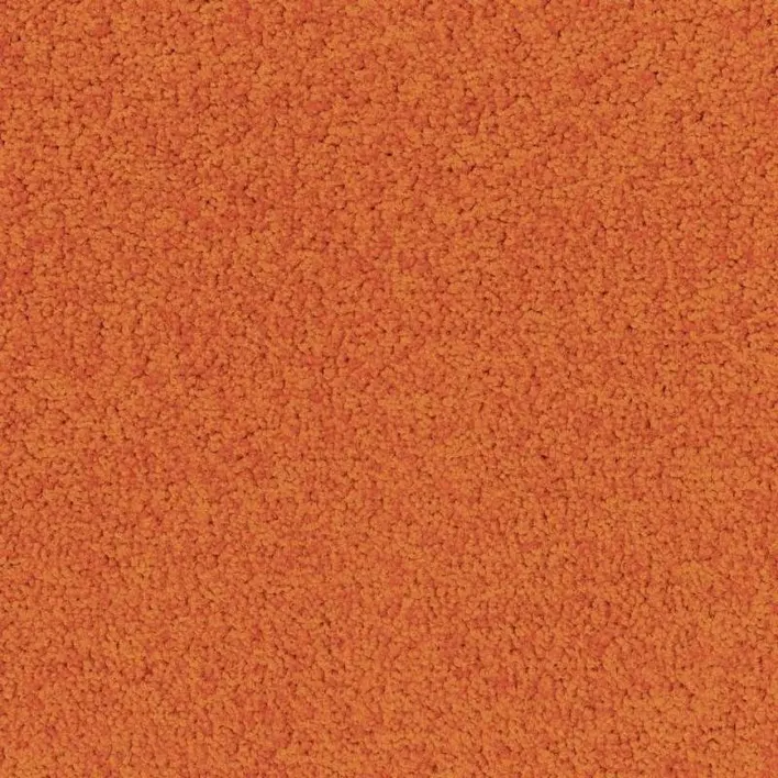 5206