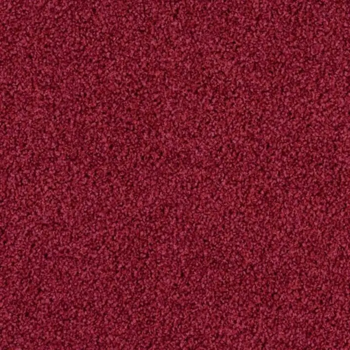 4202