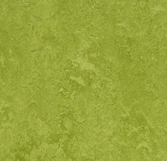 Marmoleum Fresco - Grön
