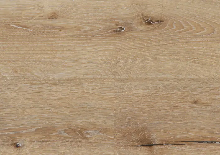 Ter Hürne, Rigid - Friends Oak Carl, planka