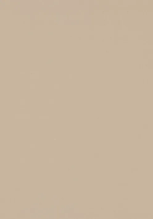 Bordlinoleum - Forbo Furniture Desktop Macadamia