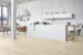Tarkett, Plank XT - Shade Ek Cotton White, 2200 mm.