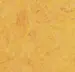 Marmoleum  Real - Dandelion