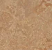 Marmoleum  Real - Shitake