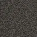 77548