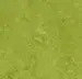 Marmoleum Fresco - Grön