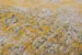 Yuzu Cream 8638