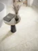 SPC vinyl klickgolv - P3021 Sandstone platta