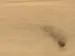 Haro plankegulv - Eg invisible Sauvage høvlet nL+