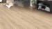 DISANO Plankgolv LifeAqua XL, Ek Sheffield puro