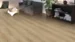DISANO Plankgolv LifeAqua, Ek Sheffield puro