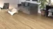 DISANO Plankgolv LifeAqua, Björklärk puro