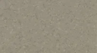 Gerflor Symbioz - 6043 Wood