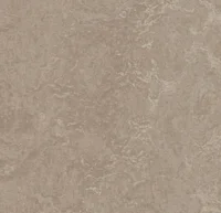 Marmoleum  Real - Sparrow