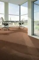 Desso, Arcade